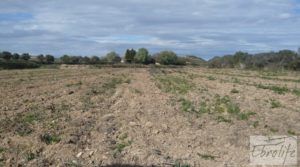 Detalle de Mas en Caspe, en finca de regadío cultivable. con regadío