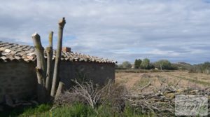 Mas en Caspe, en finca de regadío cultivable. a buen precio con regadío por 25.000€