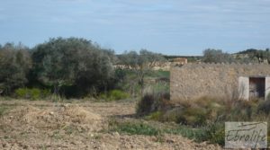 Mas en Caspe, en finca de regadío cultivable. a buen precio con regadío