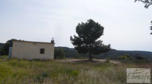 Olivar con masía rústica en Maella. a buen precio con olivar