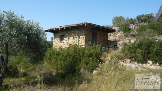 Finca muy tranquila en Calaceite