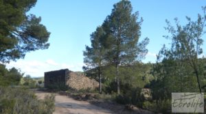 Vendemos Masía y finca con concesión de riego en Torre del Compte con buen acceso