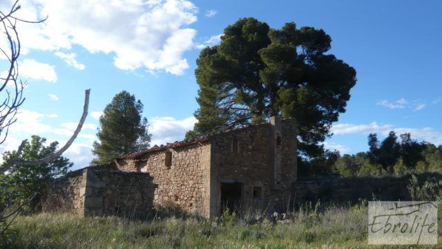 Masía y finca con concesión de riego en Torre del Compte