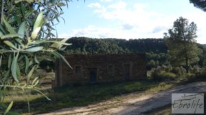 Se vende Masía y finca con concesión de riego en Torre del Compte con riego