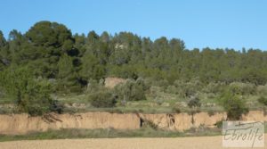 Masía y finca con concesión de riego en Torre del Compte en oferta con buen acceso