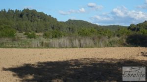 Masía y finca con concesión de riego en Torre del Compte para vender con buen acceso por 130.000€