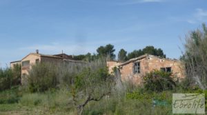 Chalet y Naves en Fabara. Buen acceso y estupendas vistas. a buen precio con buen acceso por 65.000€