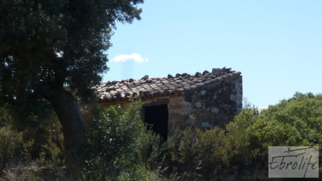 Olivar con masía típica en Maella ♘☼❀☺