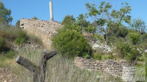 Finca en el río Canaletes, en Bot para vender