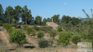 Finca en el río Canaletes, en Bot en venta por 32.000€