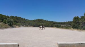 Centro ecuestre en Arens de Lledó a buen precio con wifi