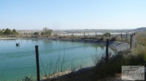 Espectacular finca de 12 hectáreas en Caspe. para vender con regadío por 245.000€