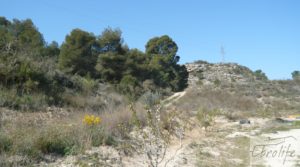 Espectacular finca de 12 hectáreas en Caspe. para vender con regadío