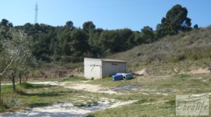 Espectacular finca de 12 hectáreas en Caspe. a buen precio con regadío