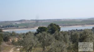 Detalle de Espectacular finca de 12 hectáreas en Caspe. con regadío