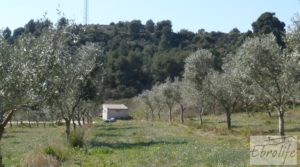 Se vende Espectacular finca de 12 hectáreas en Caspe. con regadío