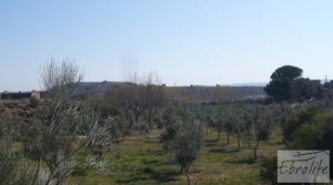 Espectacular finca de 12 hectáreas en Caspe. en venta con regadío