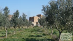 Vendemos Espectacular finca de 12 hectáreas en Caspe. con regadío