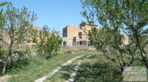 Se vende Espectacular finca de 12 hectáreas en Caspe. con regadío por 245.000€