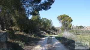 Se vende Espectacular finca de 12 hectáreas en Caspe. con regadío