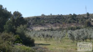 Vendemos Espectacular finca de 12 hectáreas en Caspe. con regadío