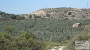 Espectacular finca de 12 hectáreas en Caspe. para vender con regadío