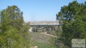 Foto de Espectacular finca de 12 hectáreas en Caspe. con regadío