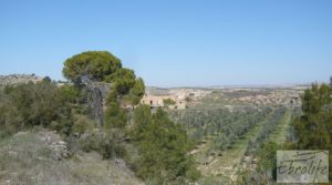 Espectacular finca de 12 hectáreas en Caspe. para vender con regadío