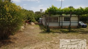 Detalle de Finca de arboles frutales y olivos en Maella con aperos y herramientas incluidas.