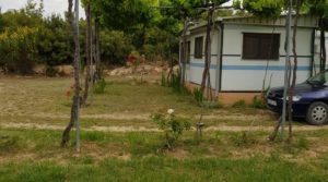 Se vende Finca de arboles frutales y olivos en Maella con piscina por 49.900€