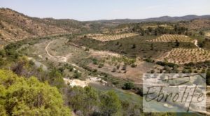 Finca de olivos autóctonos en Calaceite a buen precio con buen acceso por 35.000€