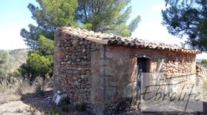 Foto de Finca de olivos autóctonos en Calaceite con tranquilidad por 35.000€
