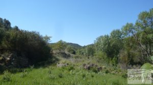 Se vende Finca rodeada de bosques en Batea con regadío por 70.000€