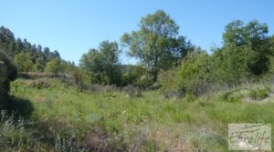 Se vende Finca rodeada de bosques en Batea con regadío