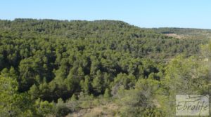 Finca rodeada de bosques en Batea en venta con regadío