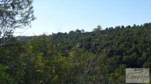 Foto de Finca rodeada de bosques en Batea con regadío