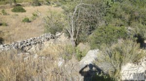 Detalle de Finca rodeada de bosques en Batea con regadío