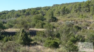 Se vende Finca rodeada de bosques en Batea con regadío por 70.000€