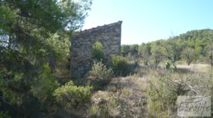 Detalle de Finca rodeada de bosques en Batea con regadío por 70.000€