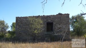 Finca rodeada de bosques en Batea en venta con regadío