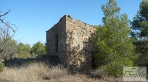 Se vende Finca rodeada de bosques en Batea con regadío por 70.000€