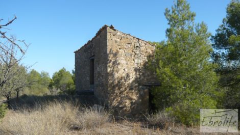 Finca rodeada de bosques en Batea