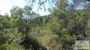 Finca rodeada de bosques en Batea para vender con regadío por 70.000€