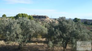 Foto de Olivar en la huerta de Caspe. en venta con regadío por 10.000€