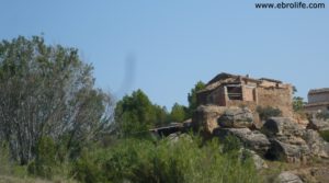 Foto de Torre en la Zaragozeta Caspe en venta con cereales