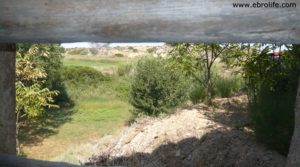 Detalle de Torre en la Zaragozeta Caspe con regadío