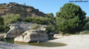 Masía en el rio algars Batea en oferta con columpios