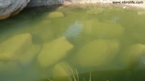 Masía en el rio algars Batea para vender con masía por 68.000€