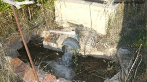 Vendemos Masico en el rio Matarraña Mazaleón con agua limpia