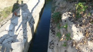 Detalle de Terreno de huerta en Caspe con electricidad